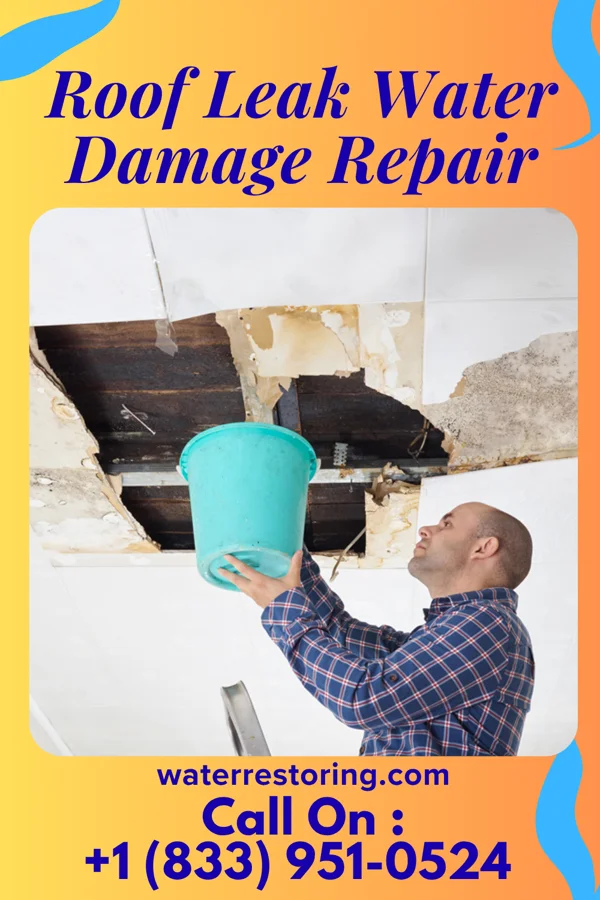 Roof Leak Water Damage Repair in Olpe, KS