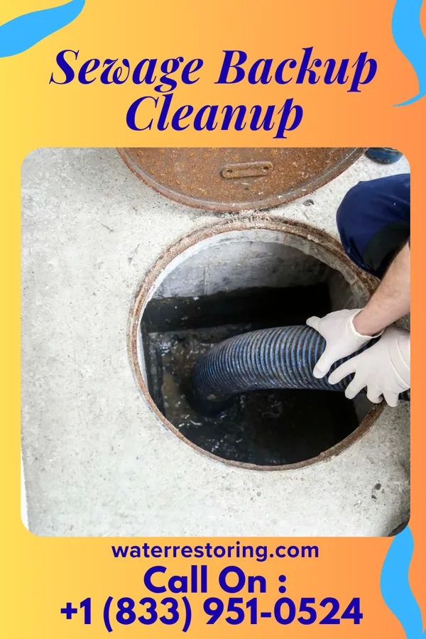 Sewage Backup Cleanup in Olpe, KS